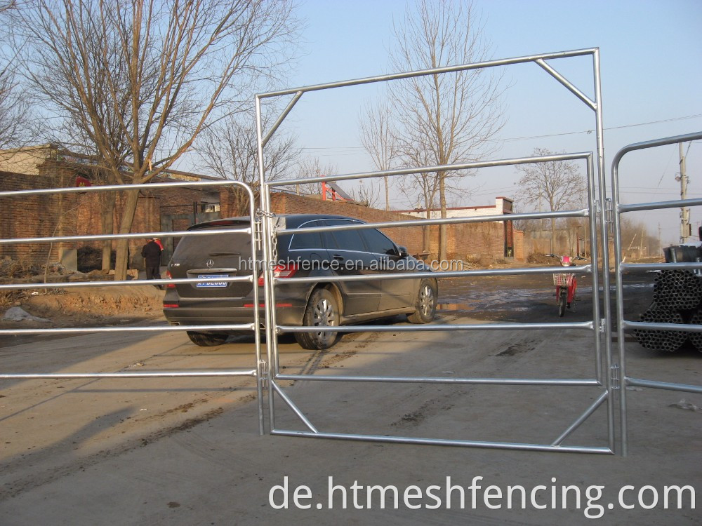 12 Fuß lang 6/5 BARS Economy Oval Tube Heavy Duty Ranch Panel (Gate)/Stahl tragbare Viehpaneele Großhandel